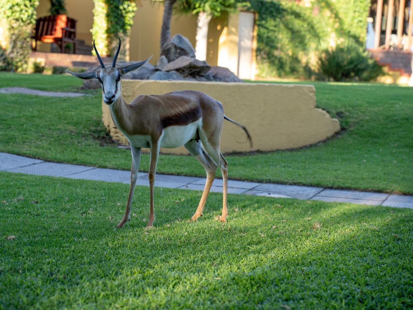 Sunriver Kalahari Lodge Riverside Stay In Upington Esterno foto